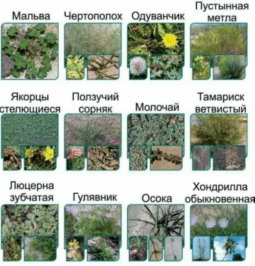 Решение рисунок 4