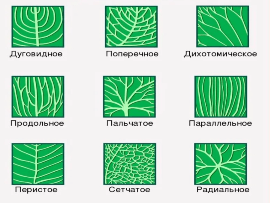 Решение рисунок 2