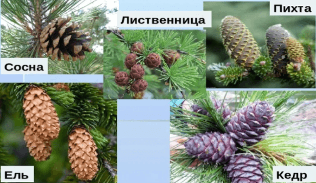 Решение рисунок 5