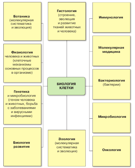Задание рисунок 1