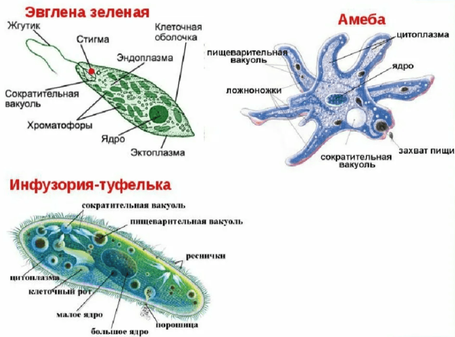 Решение рисунок 1
