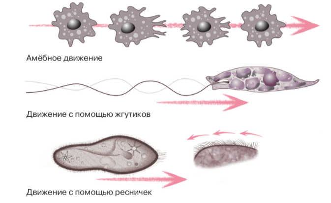 Решение рисунок 1