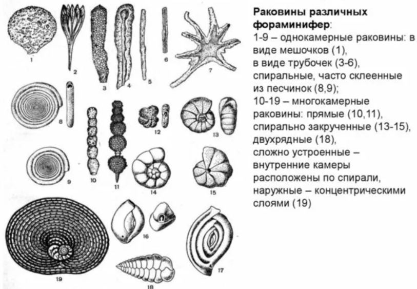 Решение рисунок 1