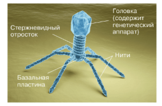 Решение рисунок 2