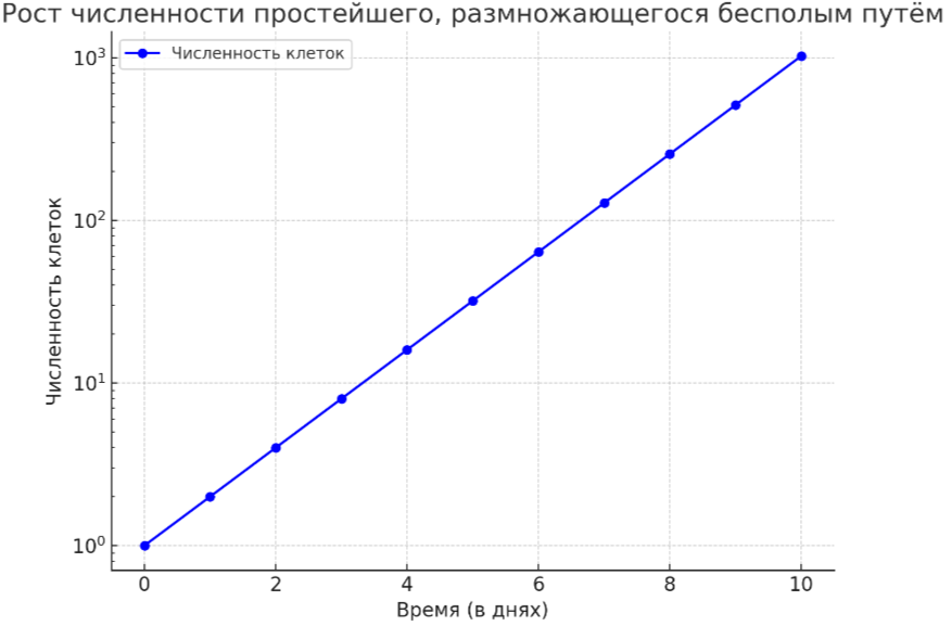 Решение рисунок 1