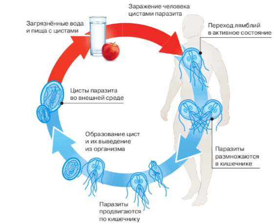 Решение рисунок 1