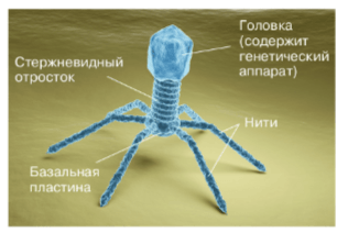 Решение рисунок 1