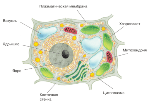 Решение рисунок 1