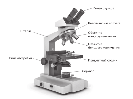 Задание рисунок 1
