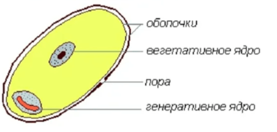 Решение рисунок 1