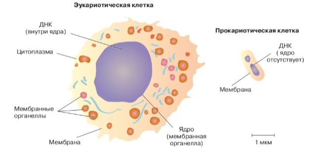 Решение рисунок 1