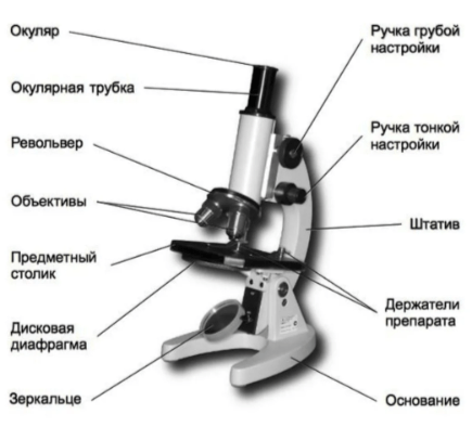 Решение рисунок 1