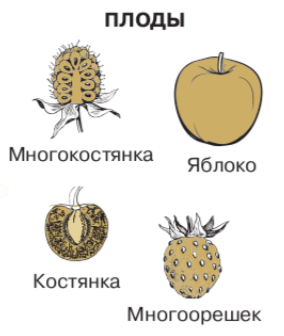 Решение рисунок 1