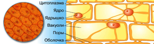 Решение рисунок 3