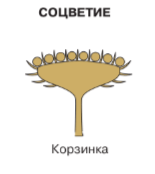 Решение рисунок 1