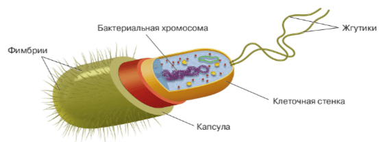 Решение рисунок 1