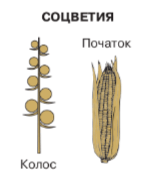 Решение рисунок 1