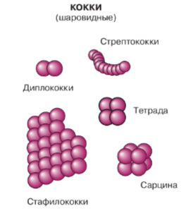 Решение рисунок 1