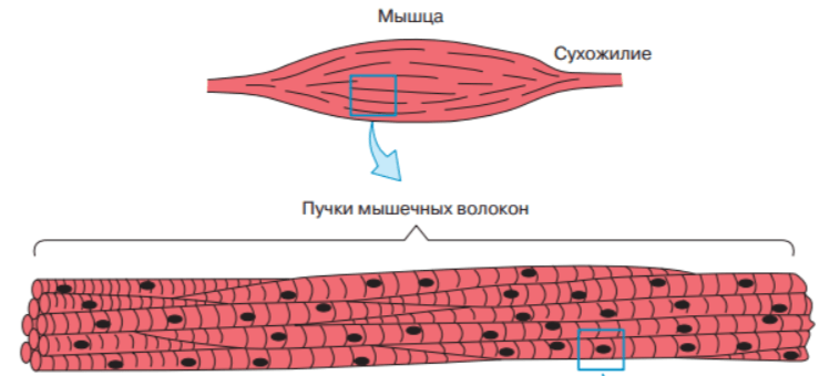 Решение рисунок 3