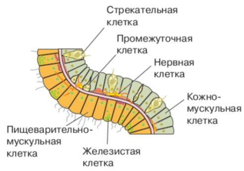Решение рисунок 2