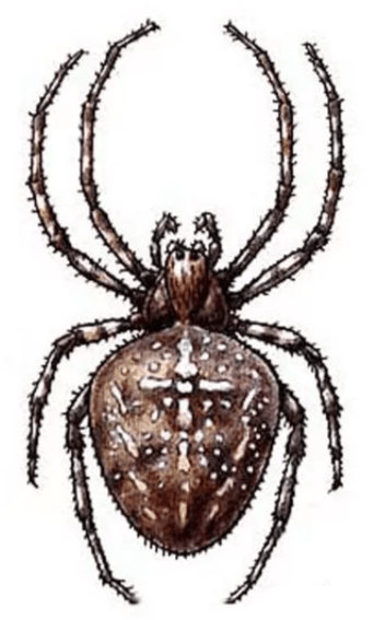 Решение рисунок 1