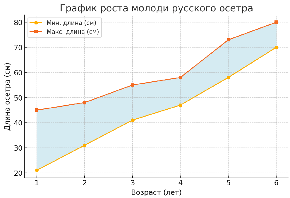 Решение рисунок 1