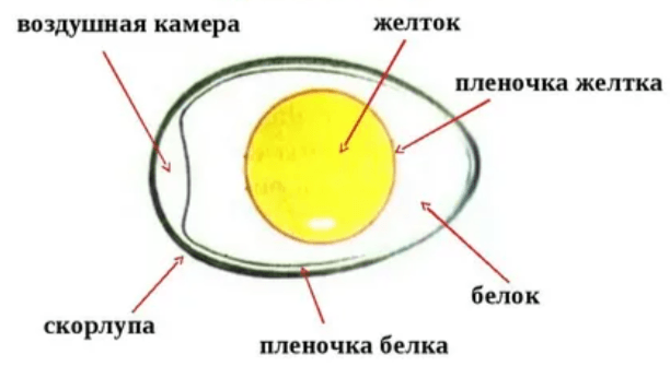Решение рисунок 1