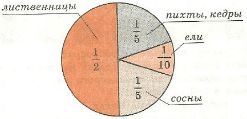 Задание рисунок 1