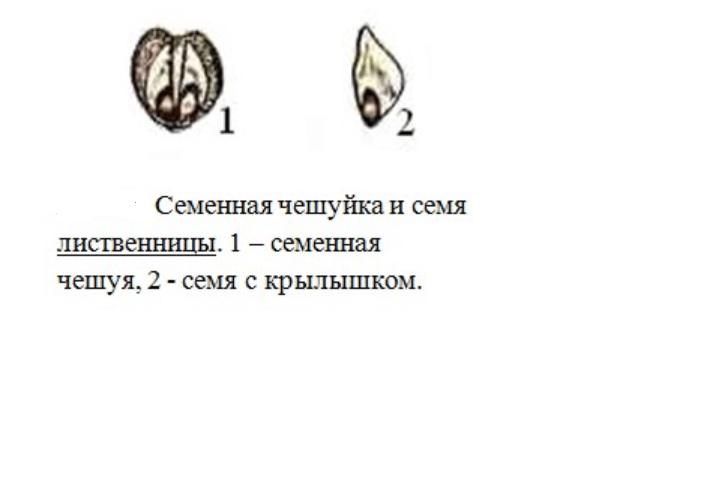 Решение рисунок 4