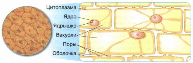 Решение рисунок 1