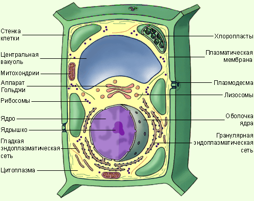 Решение рисунок 1