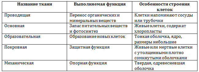 Решение рисунок 1