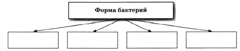 Задание рисунок 1