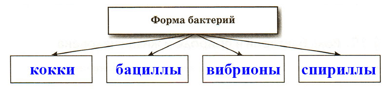 Решение рисунок 1