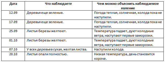 Решение рисунок 1