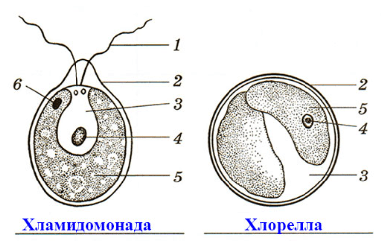 Решение рисунок 5